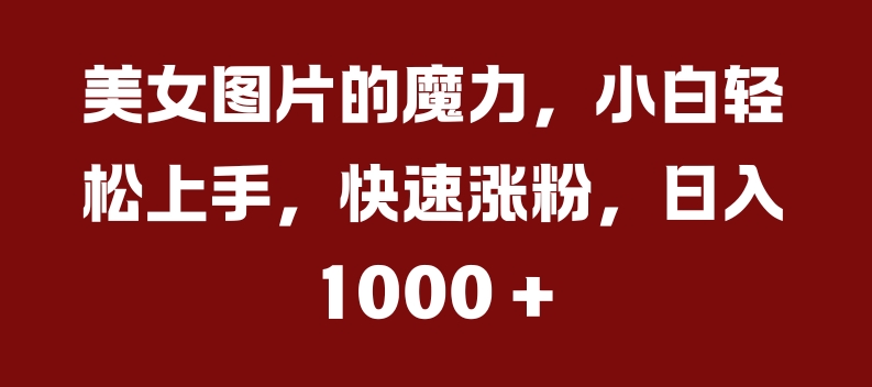 美女图片的魔力，小白轻松上手，快速涨粉，日入几张【揭秘】-有道资源网