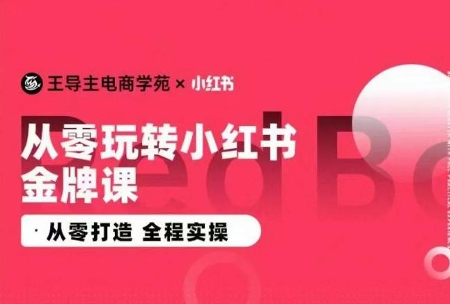 王导主·小红书电商运营实操课，​从零打造  全程实操-有道资源网