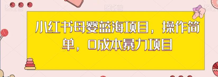 小红书母婴蓝海项目，操作简单，0成本暴力项目-有道资源网