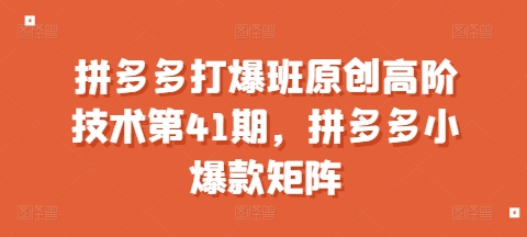 拼多多打爆班原创高阶技术第41期，拼多多小爆款矩阵-有道资源网