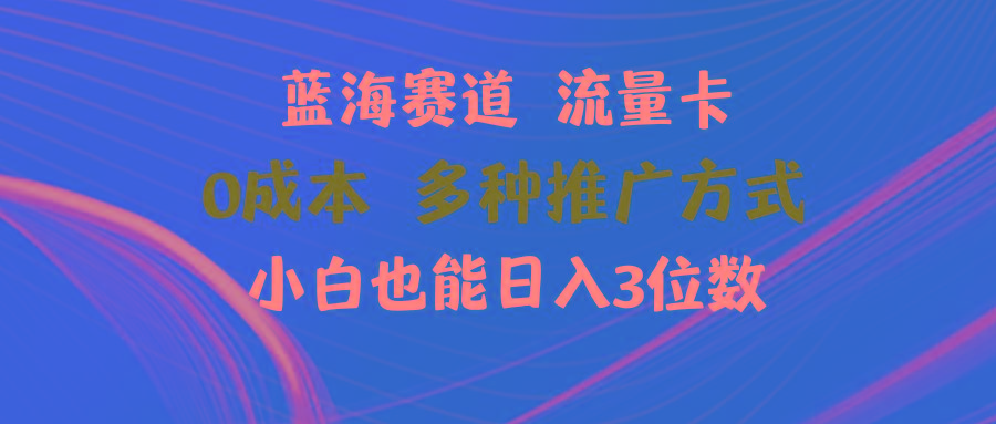 蓝海赛道 流量卡 0成本 小白也能日入三位数-有道资源网