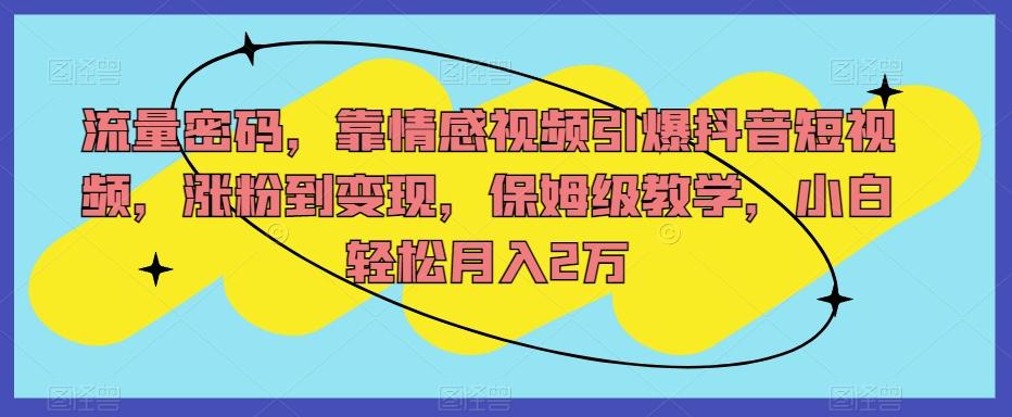 流量密码，靠情感视频引爆抖音短视频，涨粉到变现，保姆级教学，小白轻松月入2万【揭秘】-有道资源网