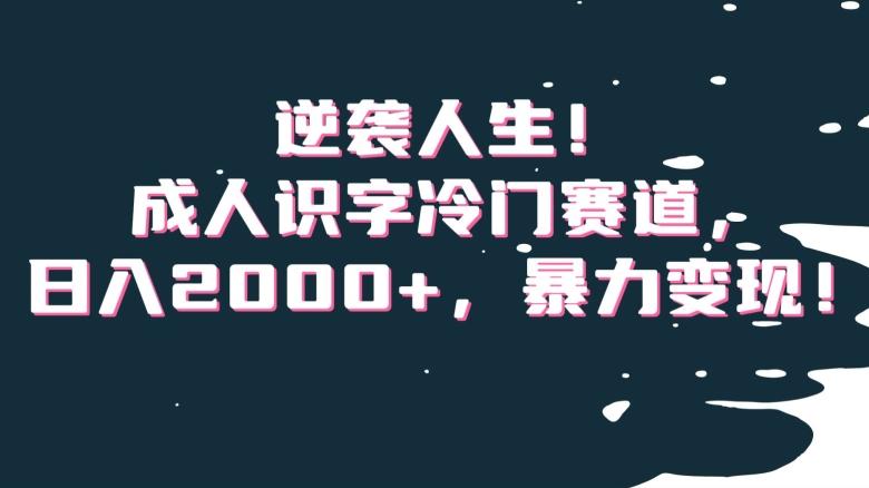 逆袭人生！成人识字冷门赛道，日入2000+，暴力变现！【揭秘】-有道资源网