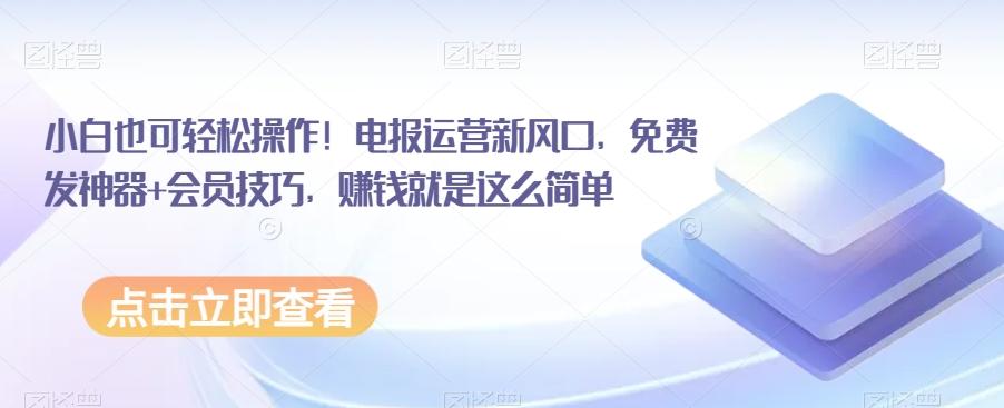 小白也可轻松操作！电报运营新风口，免费发神器+会员技巧，赚钱就是这么简单-有道资源网