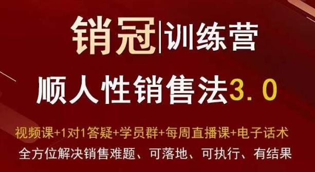 爆款！销冠训练营3.0之顺人性销售法，全方位解决销售难题、可落地、可执行、有结果-有道资源网