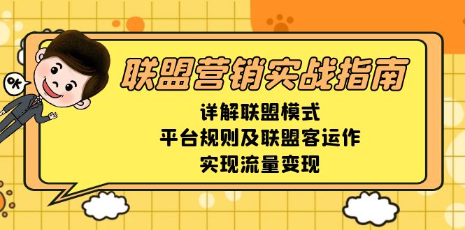 联盟营销实战指南，详解联盟模式、平台规则及联盟客运作，实现流量变现-有道资源网