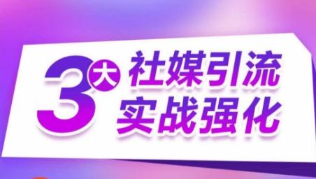 3大社媒引流实战强化，多渠道站外引流，高效精准获客，订单销售额翻倍增长-有道资源网