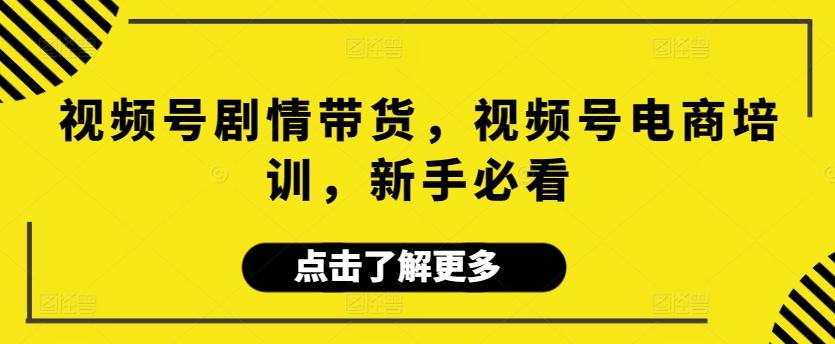 视频号剧情带货，视频号电商培训，新手必看-有道资源网