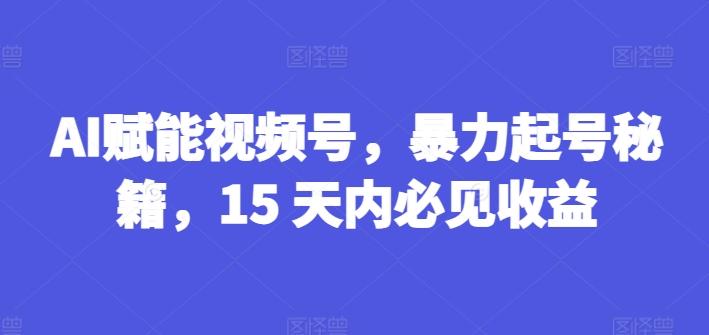 AI赋能视频号，暴力起号秘籍，15 天内必见收益【揭秘】-有道资源网