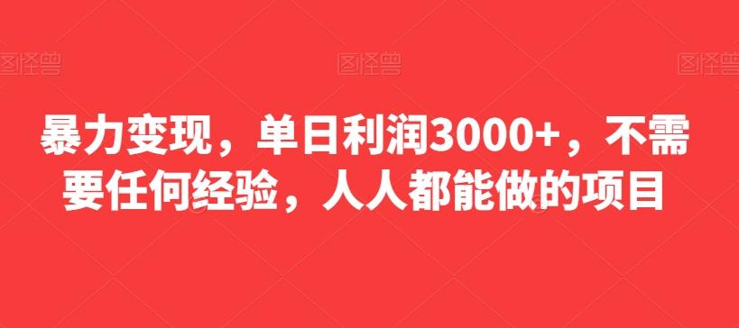 暴力变现，单日利润3000+，不需要任何经验，人人都能做的项目-有道资源网