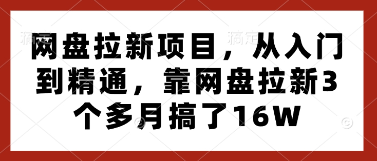 网盘拉新项目，从入门到精通，靠网盘拉新3个多月搞了16W-有道资源网