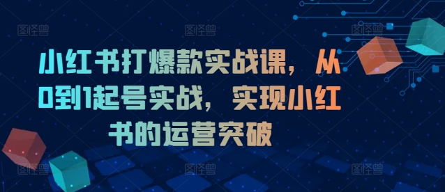 小红书打爆款实战课，从0到1起号实战，实现小红书的运营突破-有道资源网