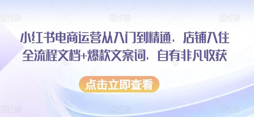 小红书电商运营从入门到精通，店铺入住全流程文档+爆款文案词，自有非凡收获-有道资源网