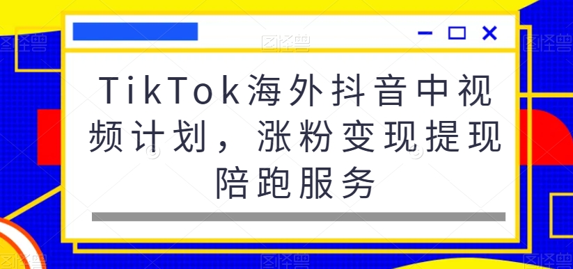 TikTok海外抖音中视频计划，涨粉变现提现陪跑服务-有道资源网