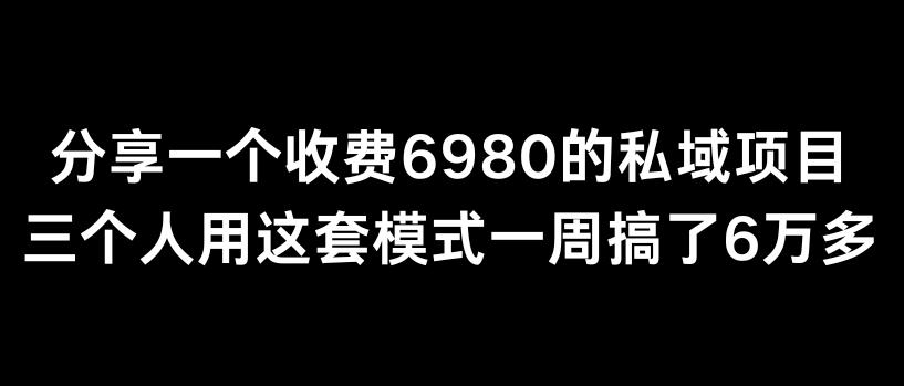 分享一个外面卖6980的私域项目三个人用这套模式一周搞了6万多【揭秘】-有道资源网