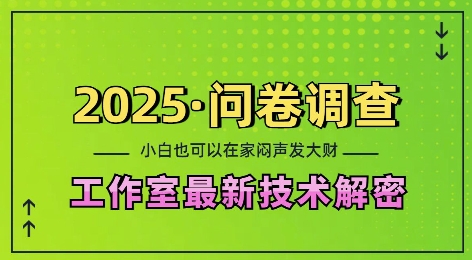 2025问卷调查最新工作室技术解密：一个人在家也可以闷声发大财，小白一天2张，可矩阵放大【揭秘】-有道资源网