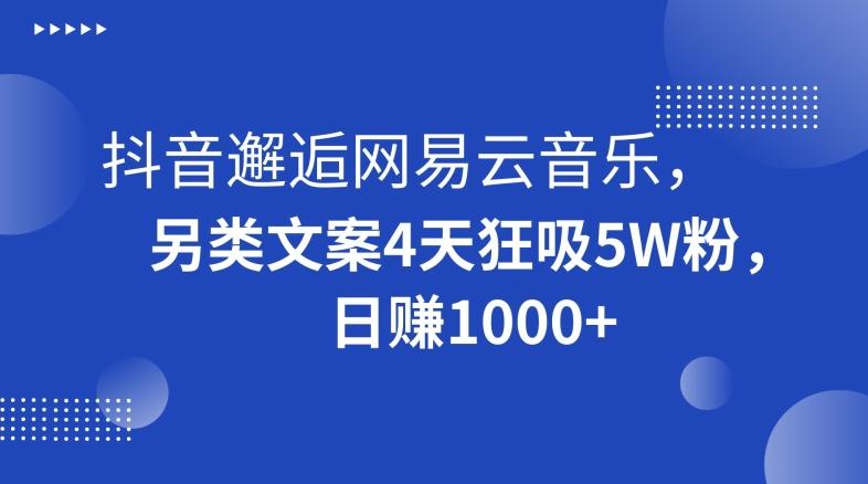 抖音邂逅网易云音乐，另类文案4天狂吸5W粉，日赚1000+【揭秘】-有道资源网