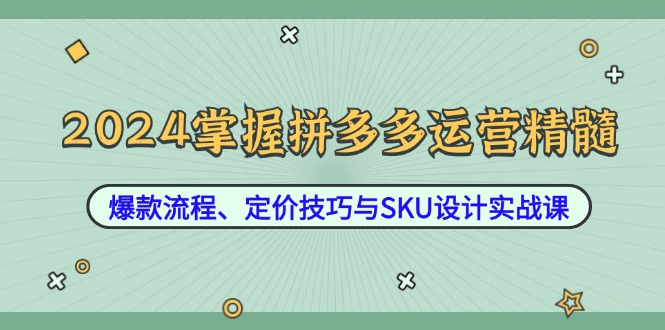 2024掌握拼多多运营精髓：爆款流程、定价技巧与SKU设计实战课-有道资源网