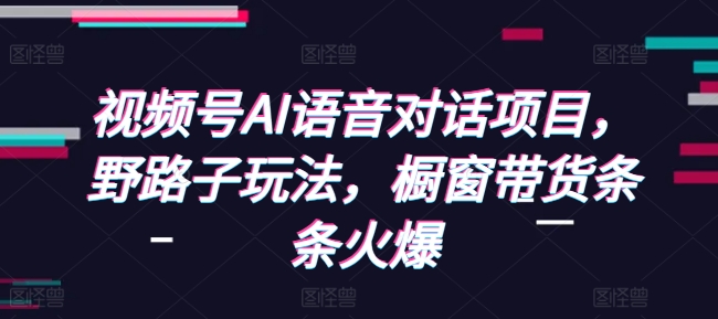 视频号AI语音对话项目，野路子玩法，橱窗带货条条火爆-有道资源网