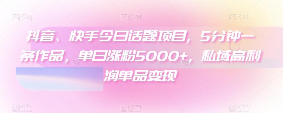 抖音、快手今日话题项目，5分钟一条作品，单日涨粉5000+，私域高利润单品变现-有道资源网