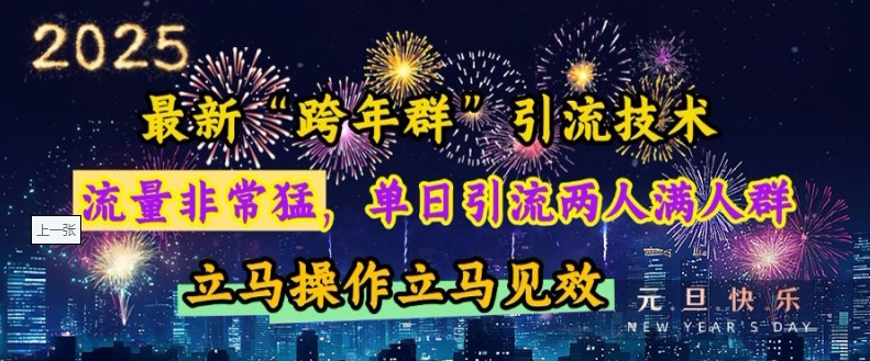 最新“跨年群”引流，流量非常猛，单日引流两人满人群，立马操作立马见效【揭秘】-有道资源网