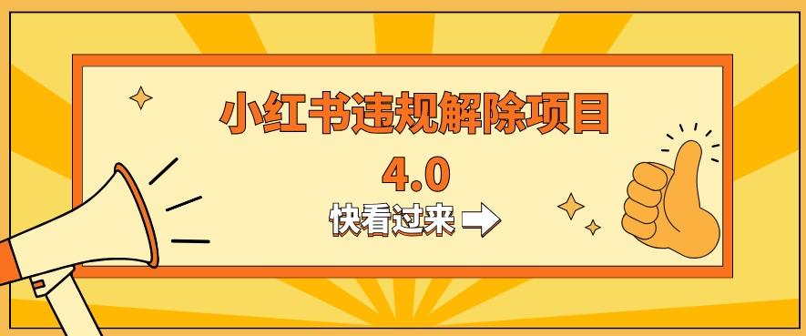 小红书违规掘金蓝海项目，日入800+（附带引流办法及解除办法）-有道资源网