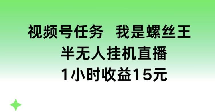 视频号任务，我是螺丝王， 半无人挂机1小时收益15元【揭秘】-有道资源网