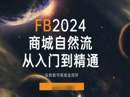 2024Faceboo商城自然流(从入门到精通)，玩转脸书商城全闭环-有道资源网