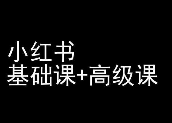 小红书基础课+高级课-小红书运营教程-有道资源网