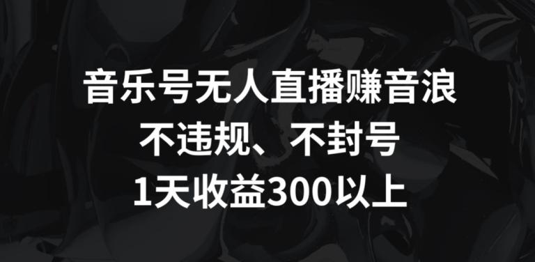 音乐号无人直播赚音浪，不违规、不封号，1天收益300+【揭秘】-有道资源网