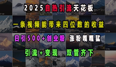 2025自热引流天花板，一条视频能带来四位数的收益，引流+变现双管齐下，日引500+创业粉，涨粉嘎嘎猛-有道资源网