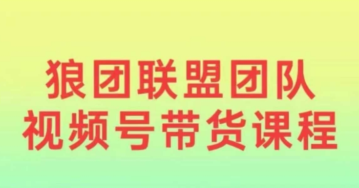 狼团联盟2024视频号带货，0基础小白快速入局视频号-有道资源网