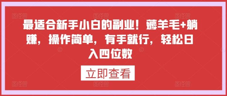 最适合新手小白的副业！薅羊毛+躺赚，操作简单，有手就行，轻松日入四位数【揭秘】-有道资源网