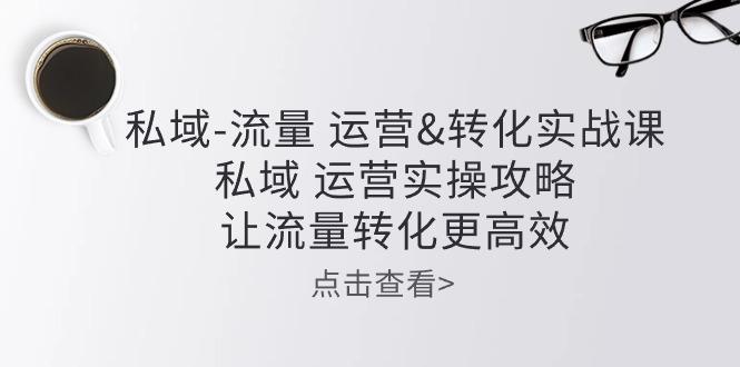 私域-流量 运营&转化实操课：私域 运营实操攻略 让流量转化更高效-有道资源网