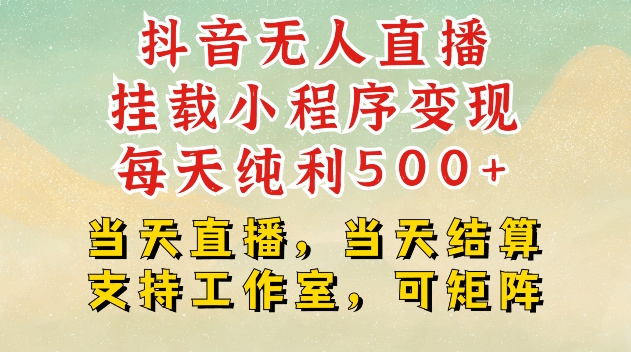 抖音无人直播挂载小程序变现每天纯利500+当天直播，当天结算支持工作室，可矩阵【揭秘】-有道资源网