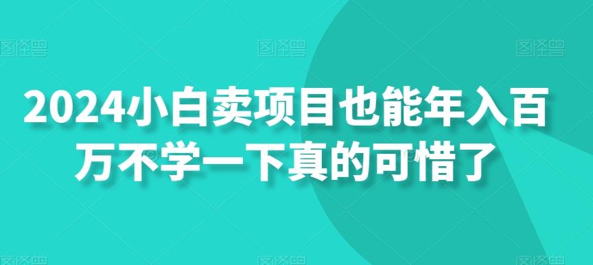 2024小白卖项目也能年入百万不学一下真的可惜了-有道资源网