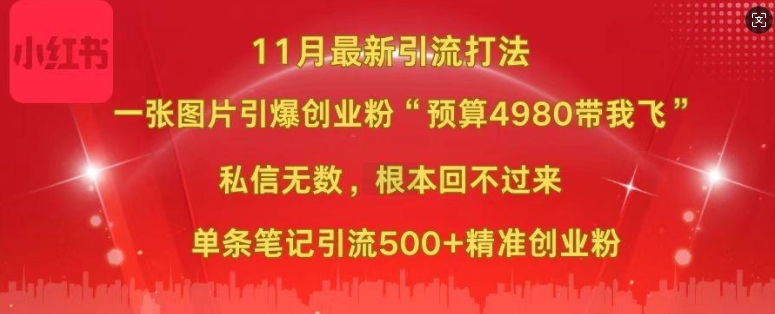 小红书11月最新图片打粉，一张图片引爆创业粉，“预算4980带我飞”，单条引流500+精准创业粉-有道资源网