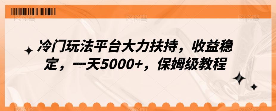 冷门玩法平台大力扶持，收益稳定，一天5000+，保姆级教程（附抖音7天起号法）-有道资源网