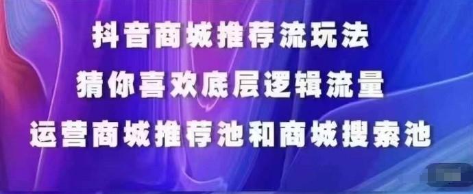 抖音商城运营课程，猜你喜欢入池商城搜索商城推荐人群标签覆盖-有道资源网