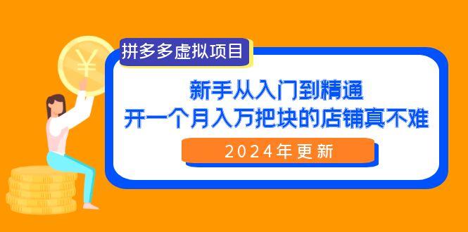 (9744期)拼多多虚拟项目：入门到精通，开一个月入万把块的店铺 真不难(24年更新)-有道资源网