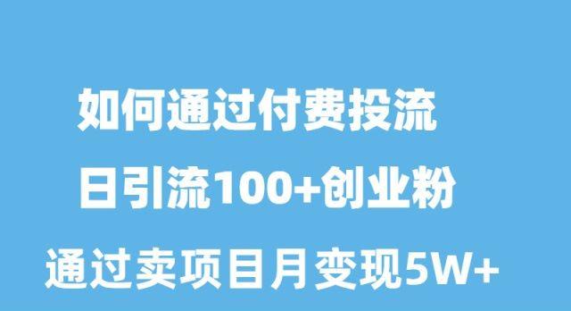 如何通过付费投流日引流100+创业粉月变现5W+-有道资源网