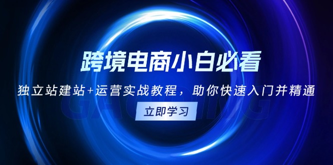 跨境电商小白必看！独立站建站+运营实战教程，助你快速入门并精通-有道资源网