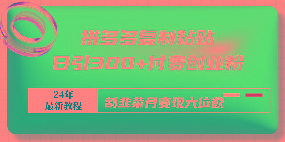 拼多多复制粘贴日引300+付费创业粉，割韭菜月变现六位数最新教程！-有道资源网