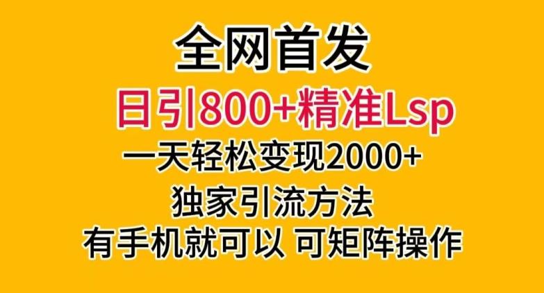 全网首发！日引800+精准老色批，一天变现2000+，独家引流方法，可矩阵操作【揭秘】-有道资源网