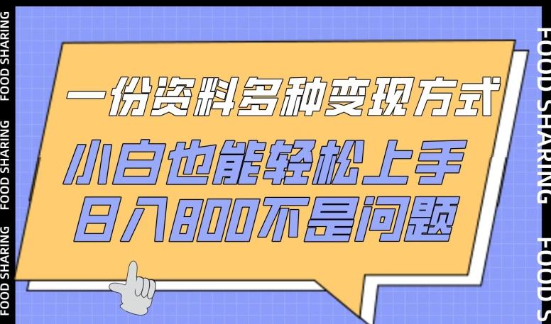 一份资料多种变现方式，小白也能轻松上手，日入800不是问题【揭秘】-有道资源网