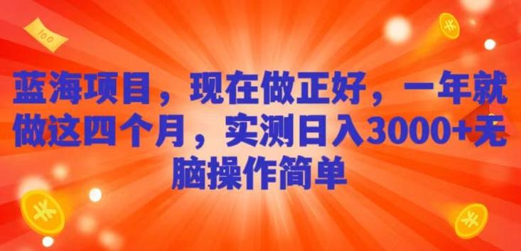 蓝海项目，现在做正好，一年就做这4个月，实测日入3000+，无脑简单操作-有道资源网