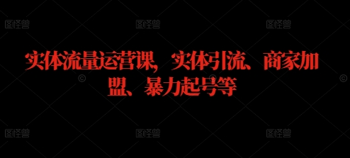 实体流量运营课，实体引流、商家加盟、暴力起号等-有道资源网