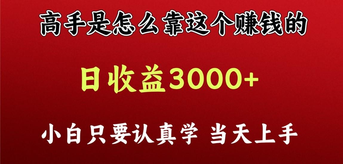 看高手是怎么赚钱的，一天收益至少3000+以上，小白当天上手-有道资源网