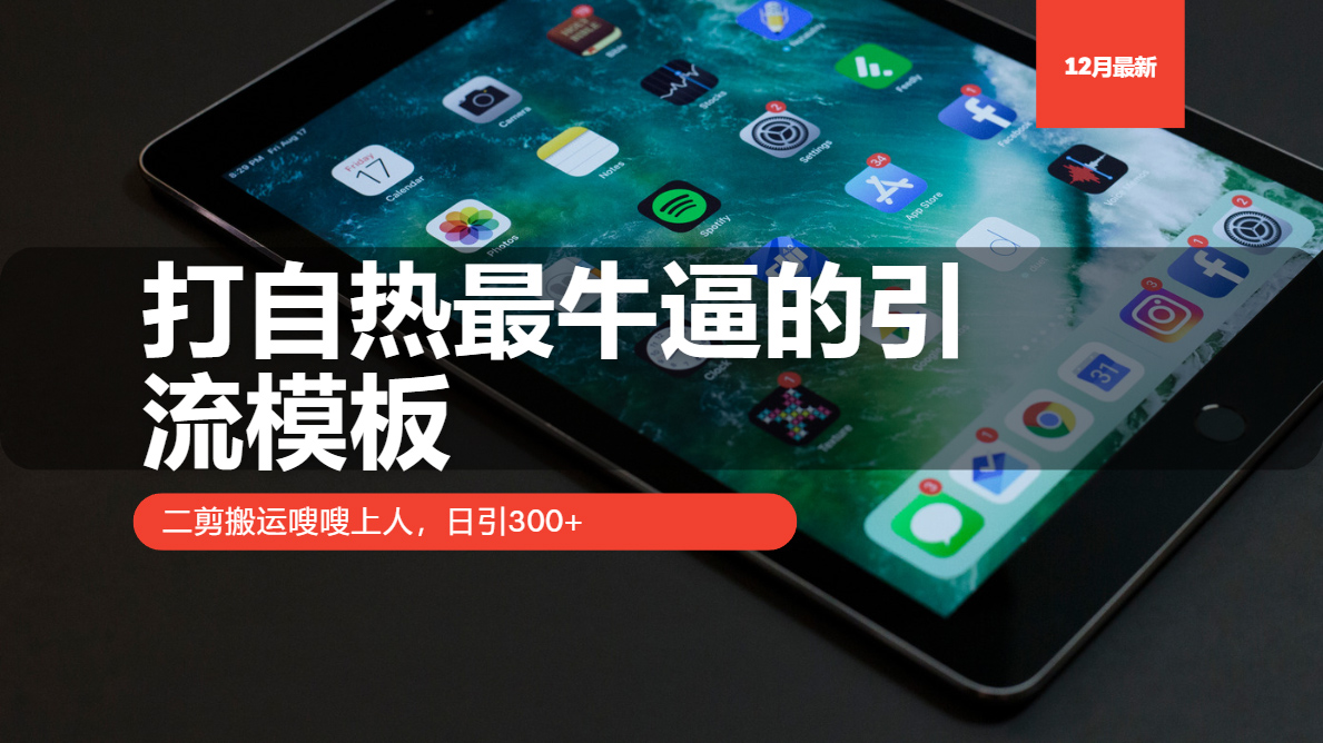 打自热最牛逼的引流模板，二剪搬运嗖嗖上人，日引300+-有道资源网