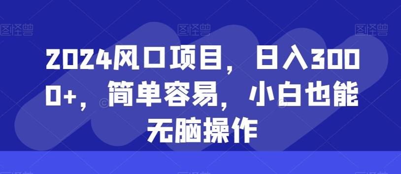 2024风口项目，日入3000+，简单容易，小白也能无脑操作-有道资源网